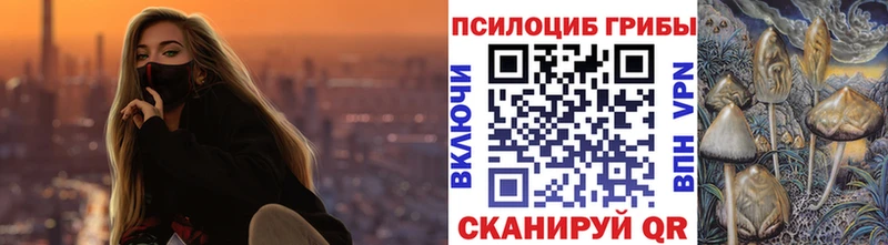Псилоцибиновые грибы Cubensis  Пикалёво 